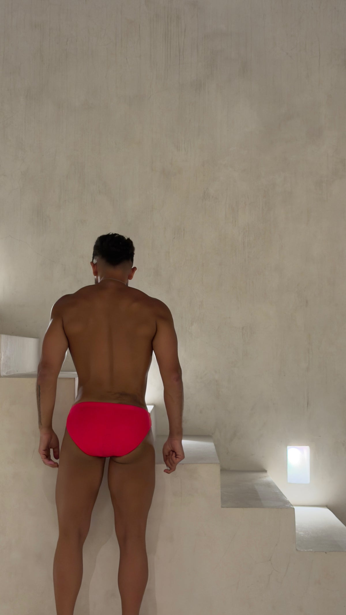Icarus Brief